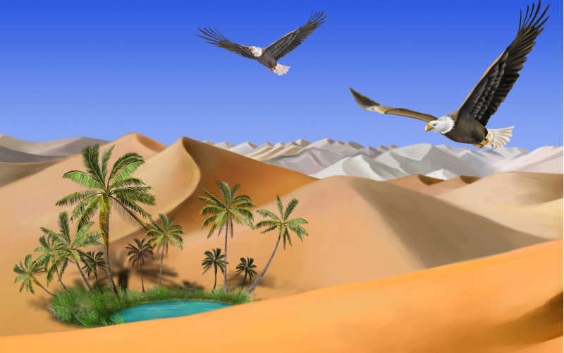 飞翔在埃及沙漠上空的老鹰