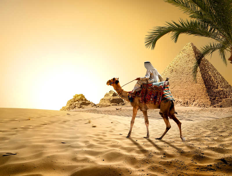 金字塔附近的骆驼和商人