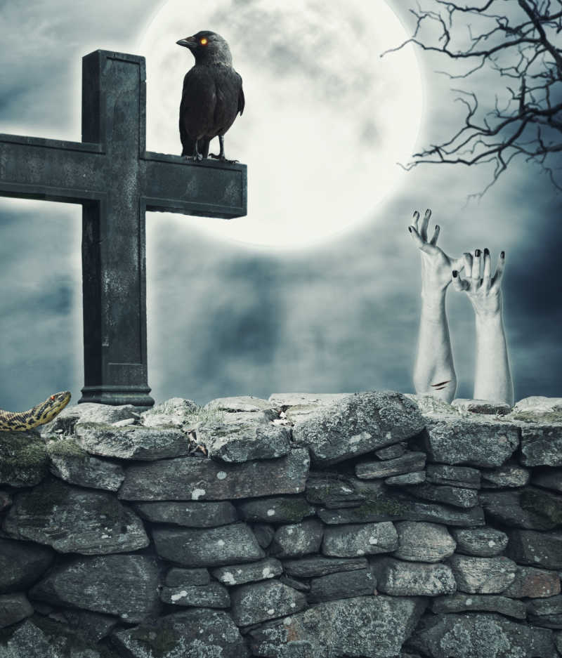 凄冷的月色下墓地围墙上的十字架乌鸦还有一双挣扎着的苍白的双手