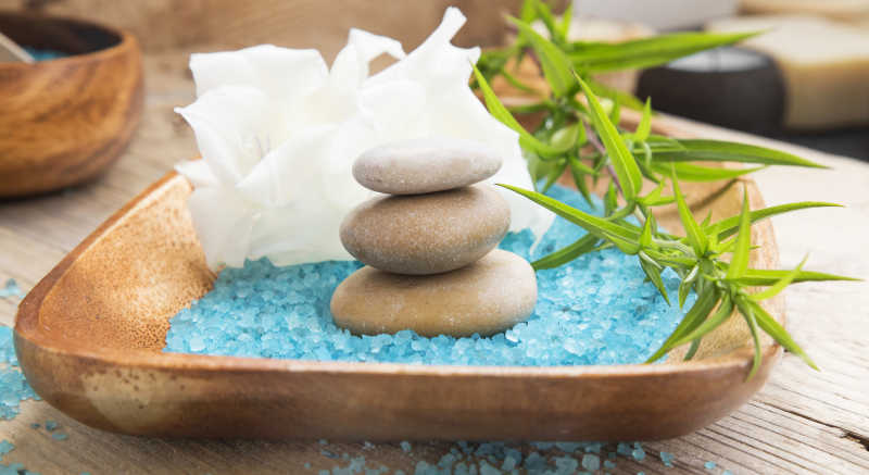 盘中的海盐花植物和石头