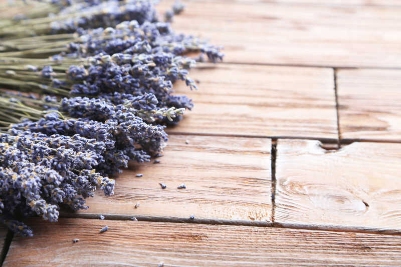 褐色木本背景的薰衣草花