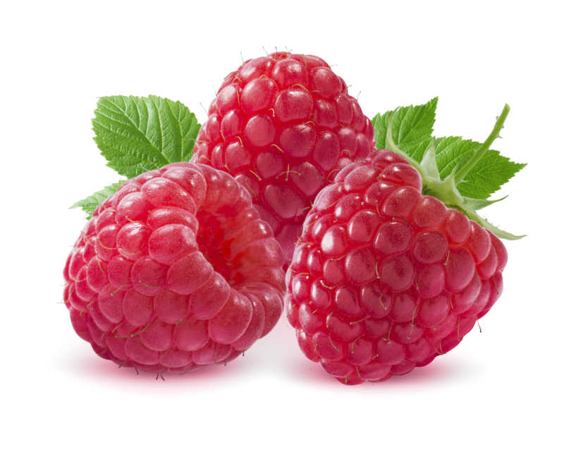 白色背景下三个成熟的树莓