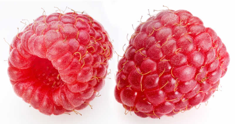 白色背景下的红色覆盆子