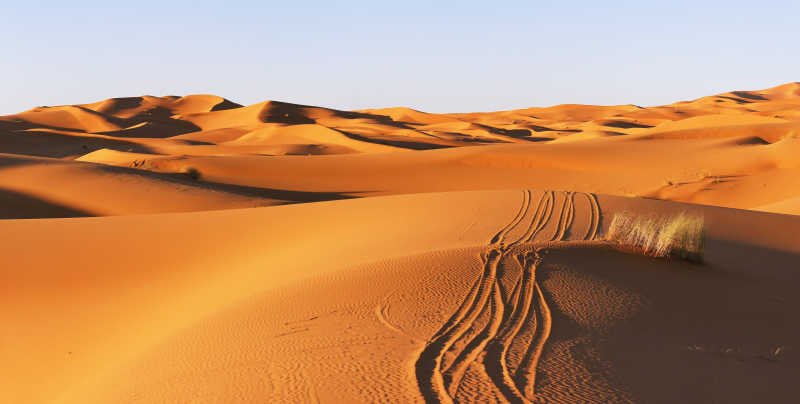 沙漠沙丘上的路线