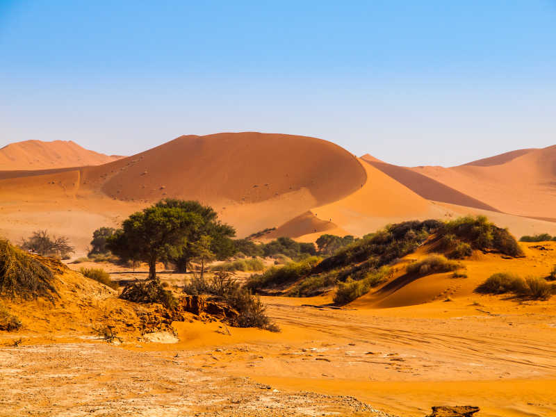 世界上最小的沙漠图片