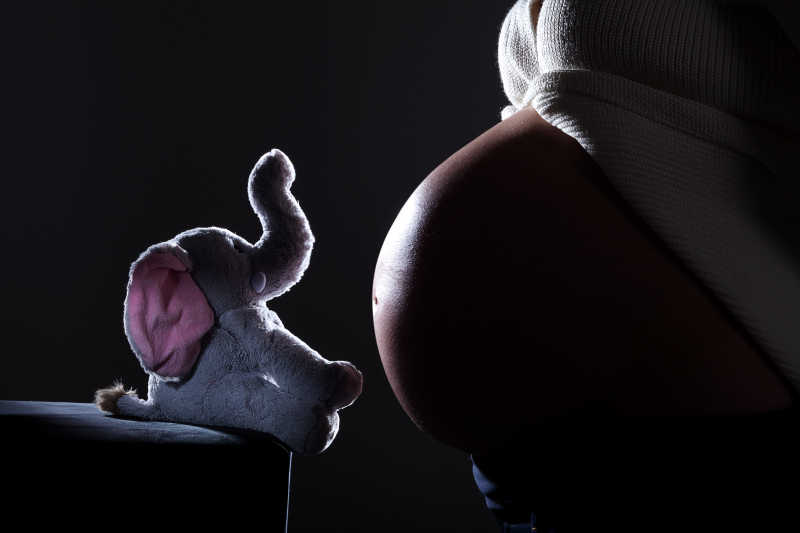 黑色背景下孕妇的腹部对着一只小象毛绒玩具