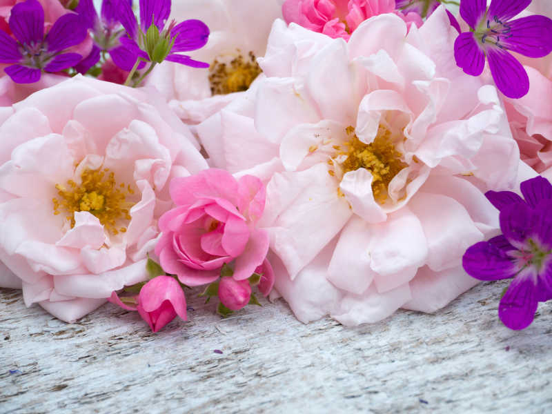 粉红玫瑰和天竺葵花束在木桌上