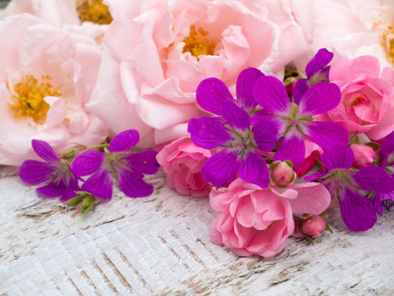 木桌上淡粉色玫瑰和天竺葵花束