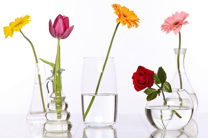 玻璃花瓶中的花图片 玻璃花瓶中的一只花素材 高清图片 摄影照片 寻图免费打包下载