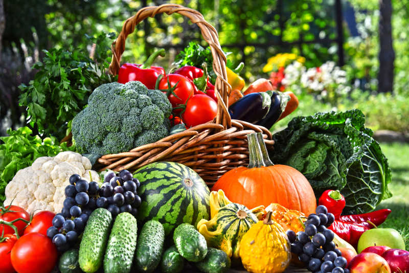 健康美味的有机蔬菜和有机水果
