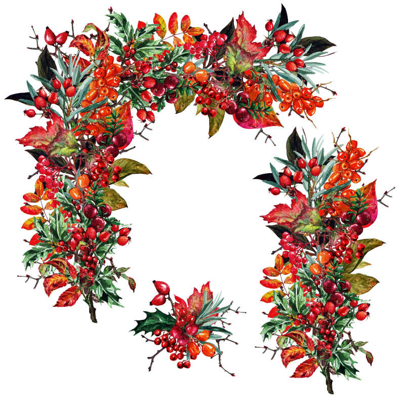 水彩秋季果实插画