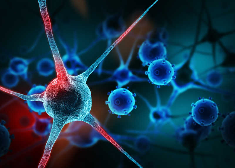 蓝色背景的神经元细胞