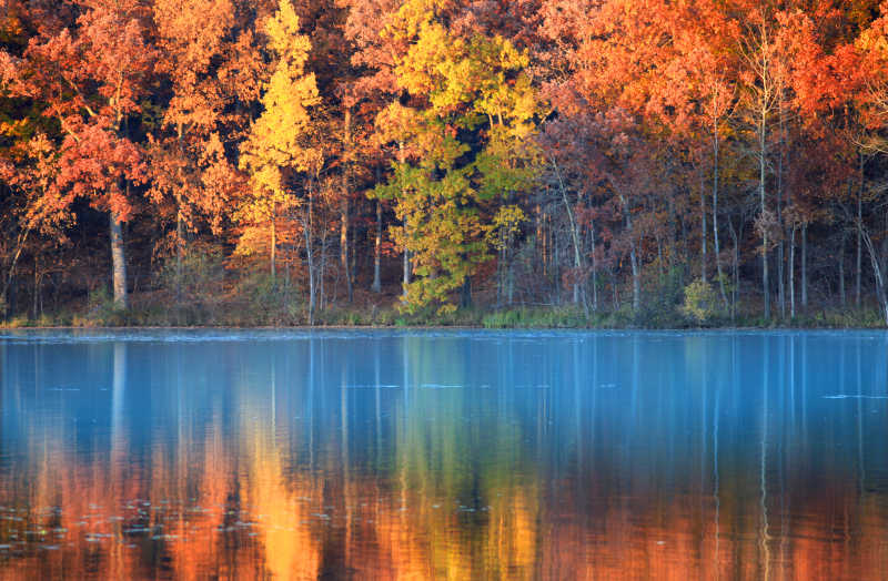 大自然风景图片 秋天美丽的大自然风景素材 高清图片 摄影照片 寻图免费打包下载