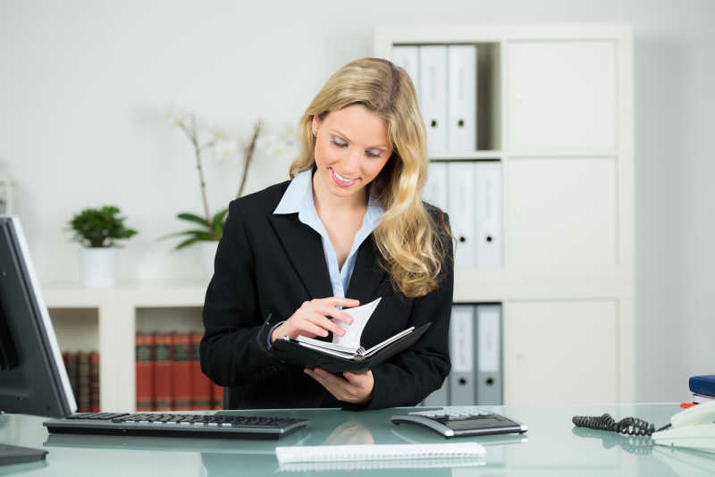 在日程中的律师