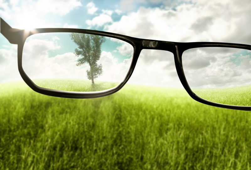 从眼镜里看草原上的树