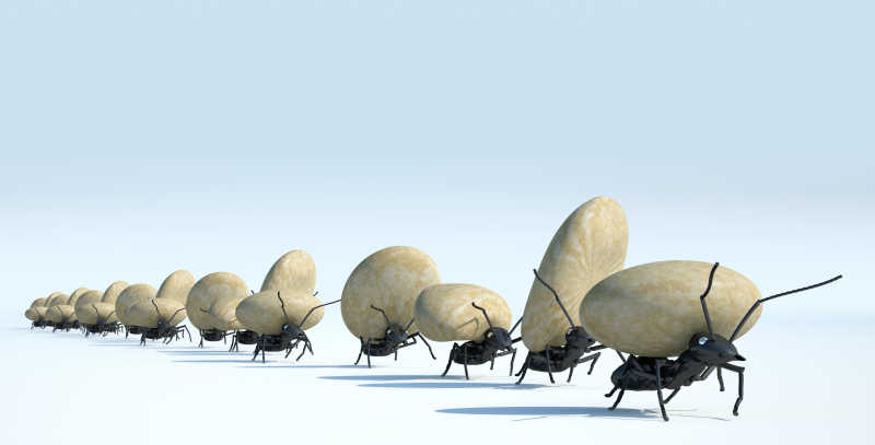 白色背景下蚂蚁团队集体工作概念
