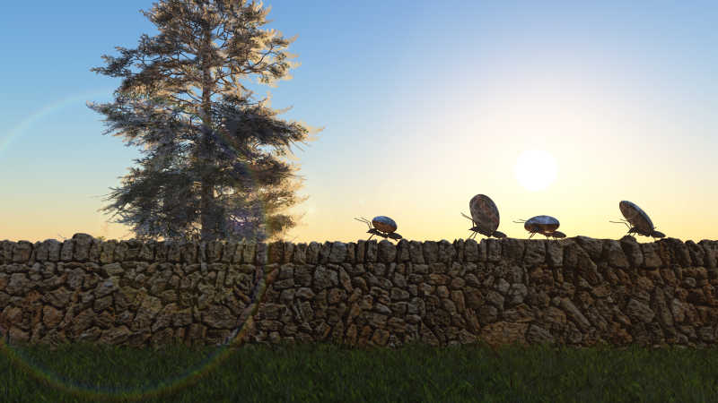 工作中的蚂蚁团队概念