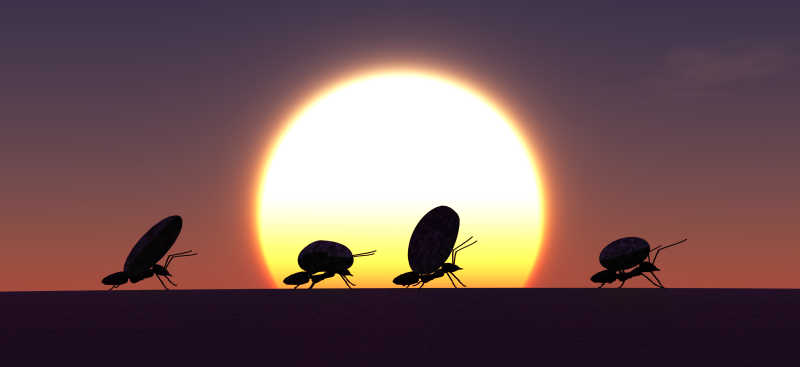 光圈背景下蚂蚁团队工作剪影