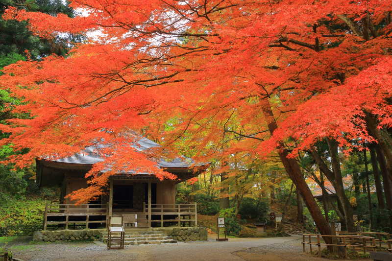 美丽红叶风景图片 世界遗产平泉中尊寺的美丽红叶风景素材 高清图片 摄影照片 寻图免费打包下载
