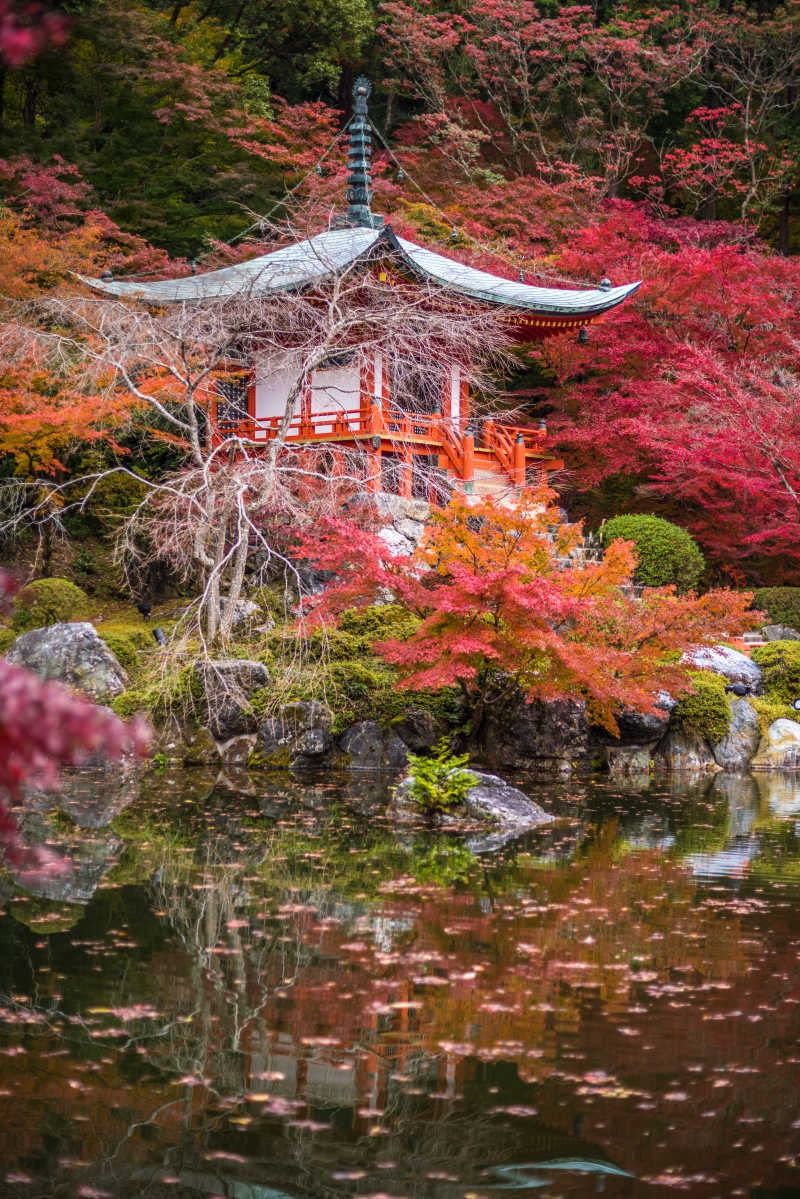 漂亮的红叶风景图片 枫木寺大吉寺的漂亮的红叶风景素材 高清图片 摄影照片 寻图免费打包下载