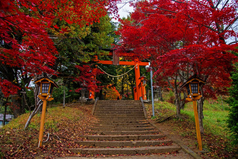 美丽的牌坊旁的秋季树木风景