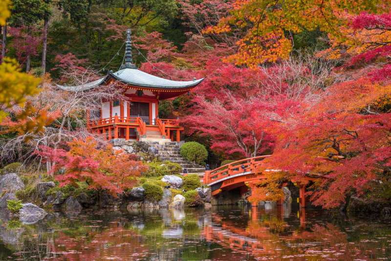 红叶风景图片 枫木寺大吉寺的红叶风景素材 高清图片 摄影照片 寻图免费打包下载