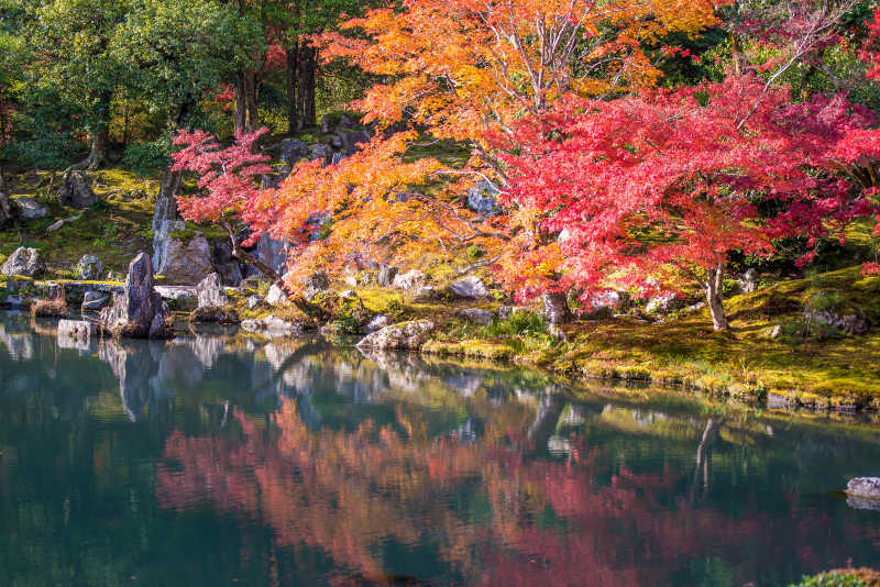 秋日日本花园风景