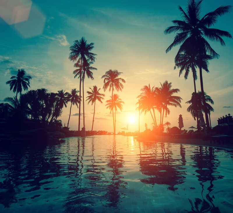 海边棕榄树美丽的日落