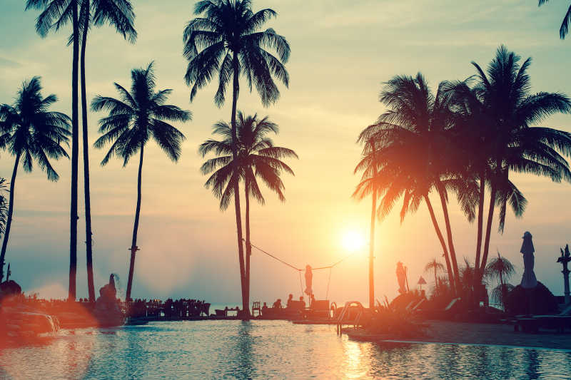 美丽海边棕榄树日落