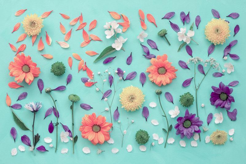 静物混合花卉图片 淡青色背景下的各种花朵素材 高清图片 摄影照片 寻图免费打包下载