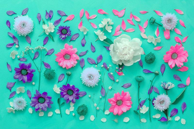 静物花朵图片 青色背景上的各种花朵素材 高清图片 摄影照片 寻图免费打包下载