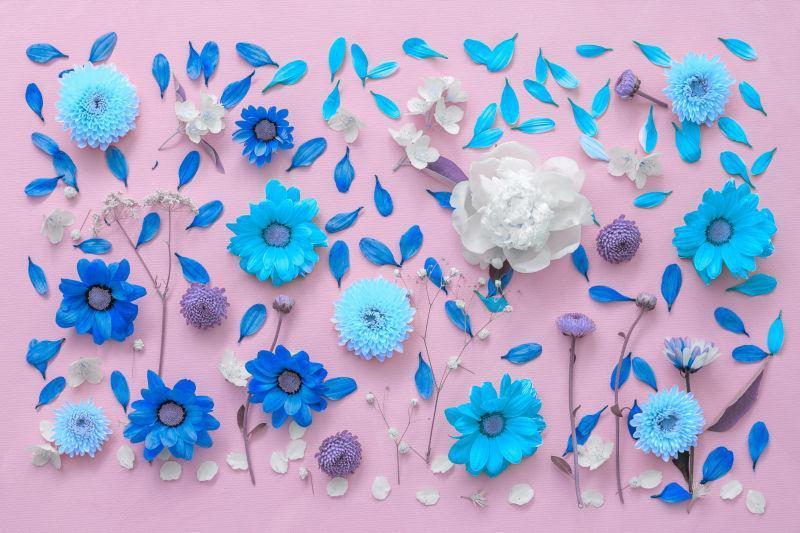 浅粉色背景下的各种花朵