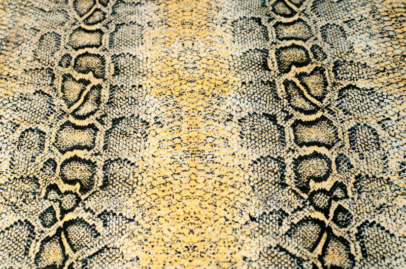 蛇皮纹理的背景