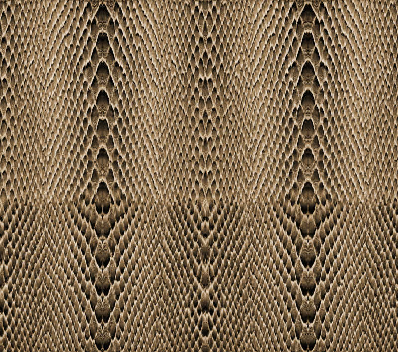 蛇皮上的纹理