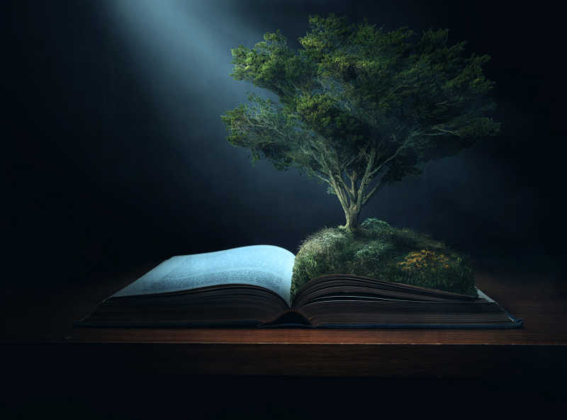 书上长出来的绿色大树