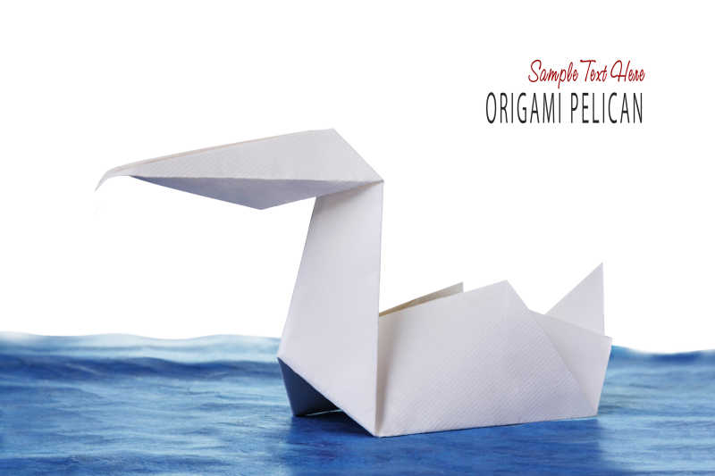 水上的鹈鹕折纸