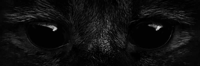 毛茸茸的怪兽眼睛闭上眼睛