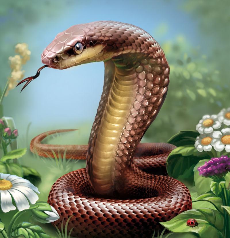 蟒蛇唯美图片