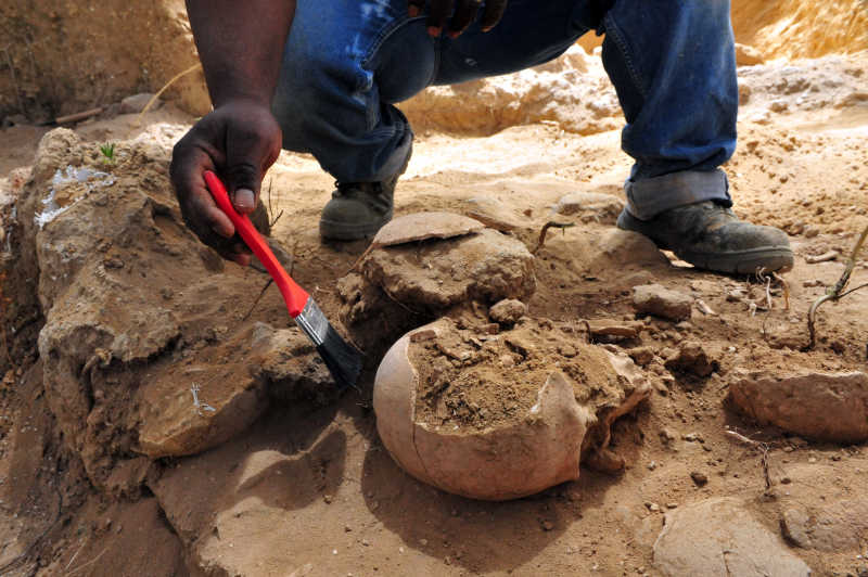 挖掘人类头颅的考古学家