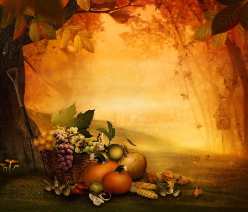 秋季背景下的水果