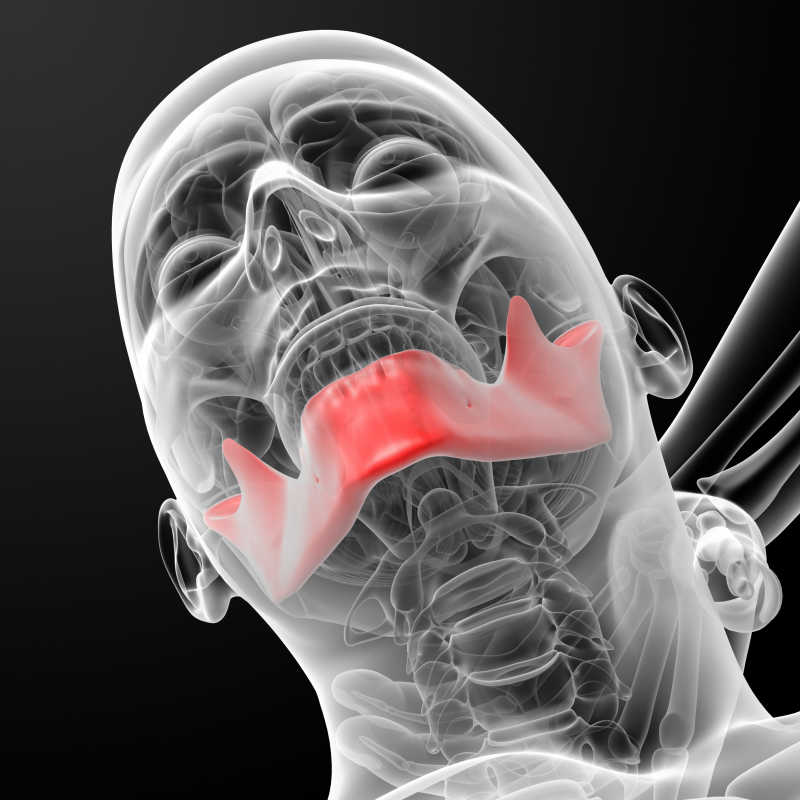 黑色背景上的颌骨