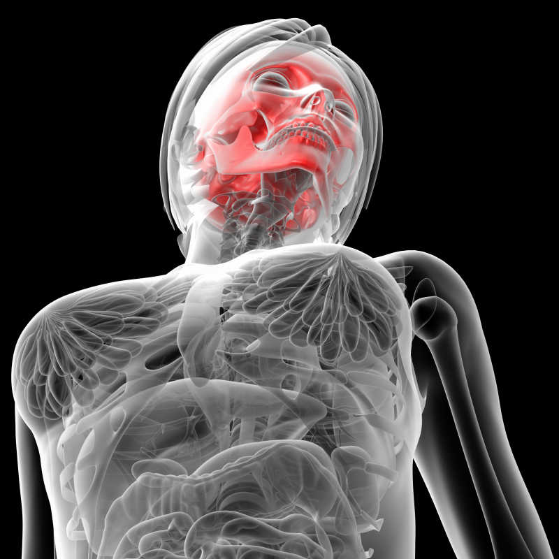 黑色背景中的女性颅骨