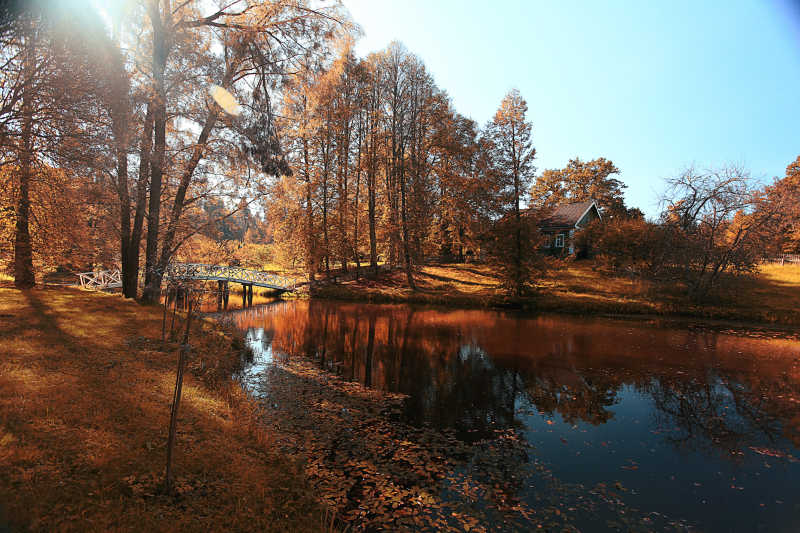 秋天公园的湖边风景