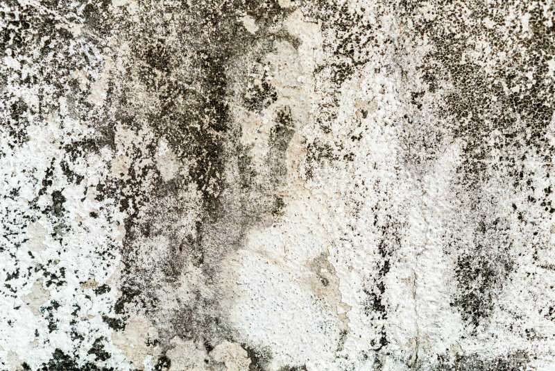 发霉的旧混凝土墙