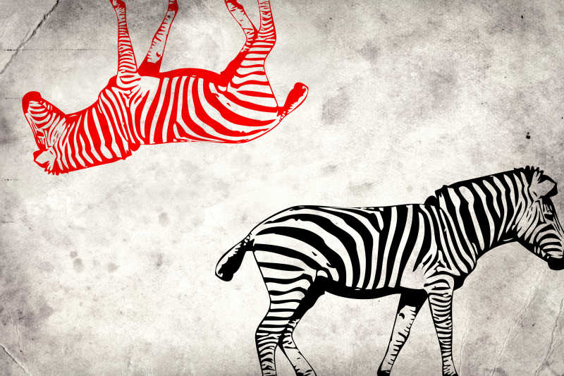 复古的斑马壁画