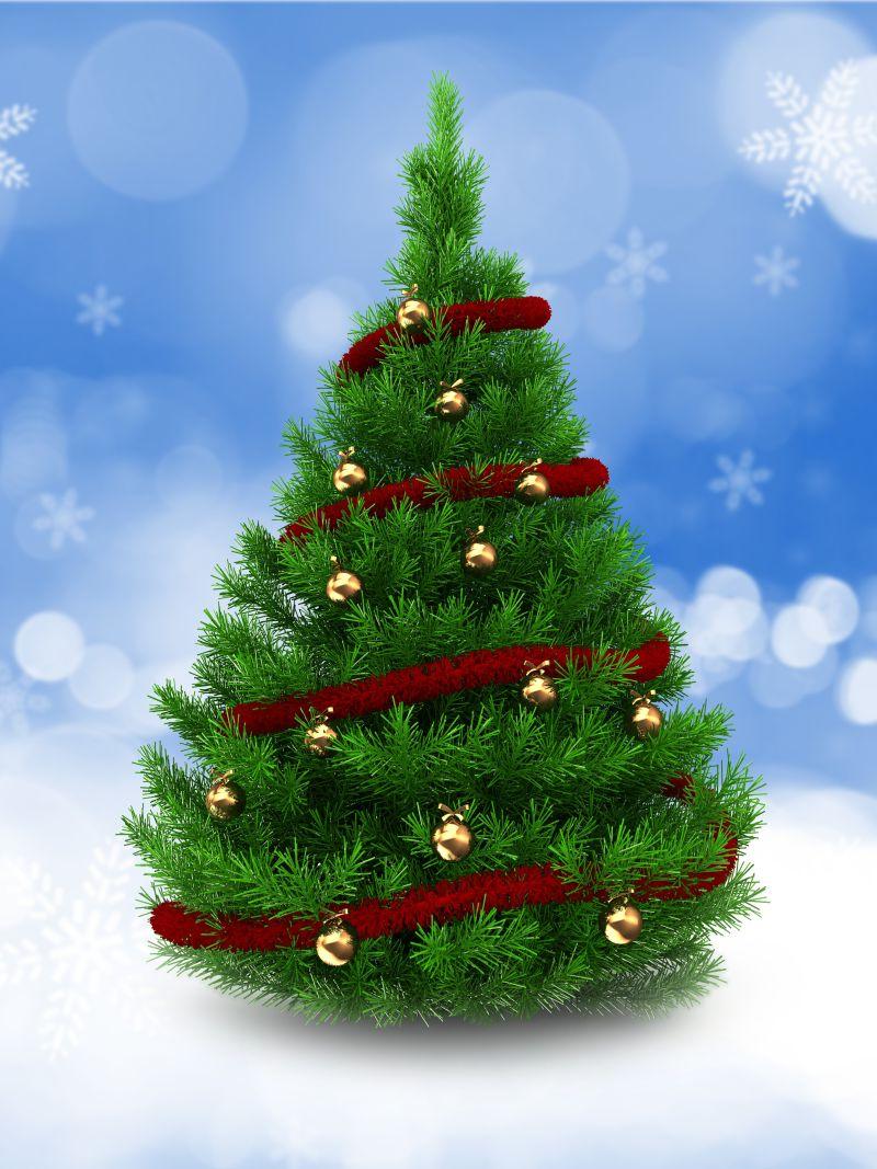 天蓝色带有雪花的背景下绿色的圣诞树设计