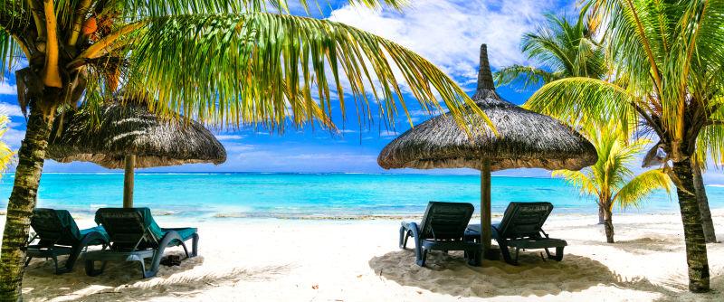 沙滩上棕榈树下的沙滩椅