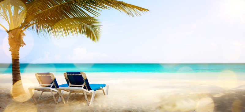 海滩椰树下的两个躺椅