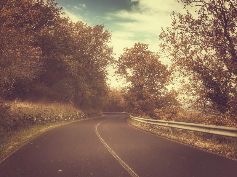 秋季森林的道路