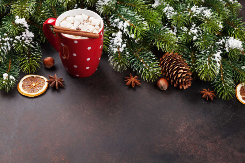 圣诞树下的装饰品